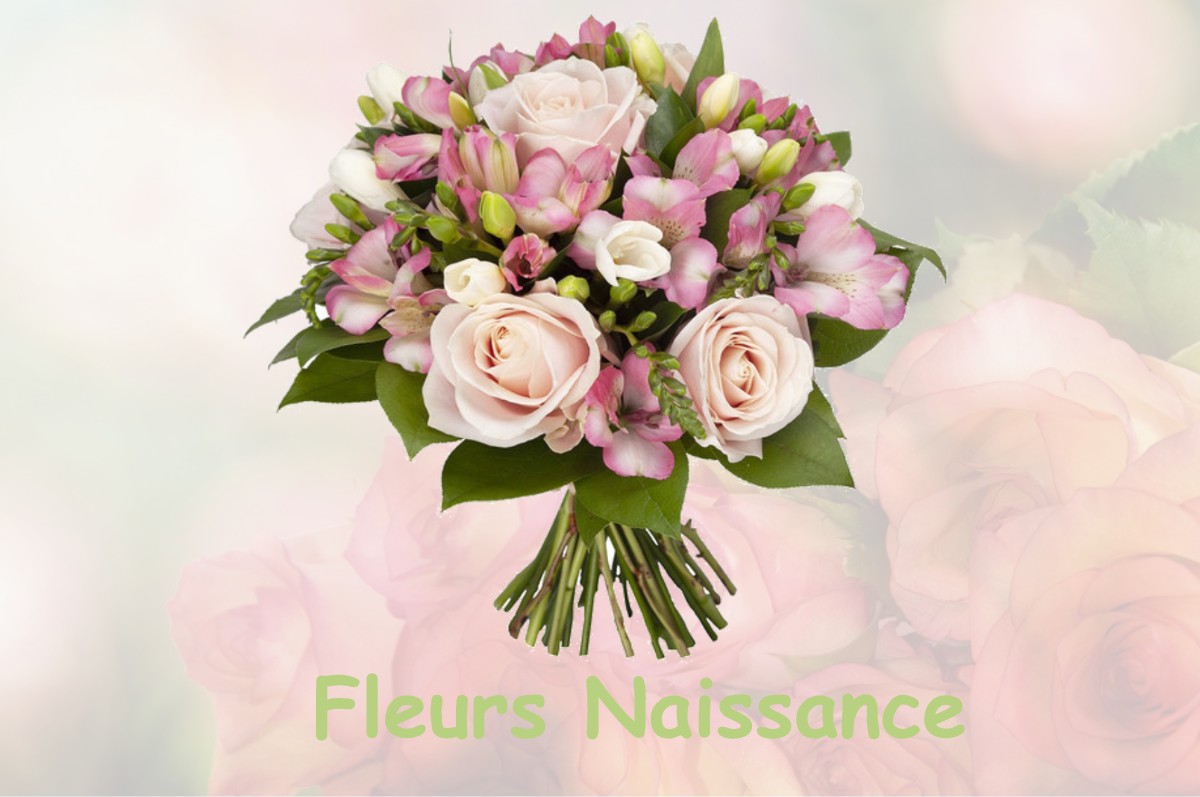fleurs naissance LE-PLESSIER-SUR-BULLES